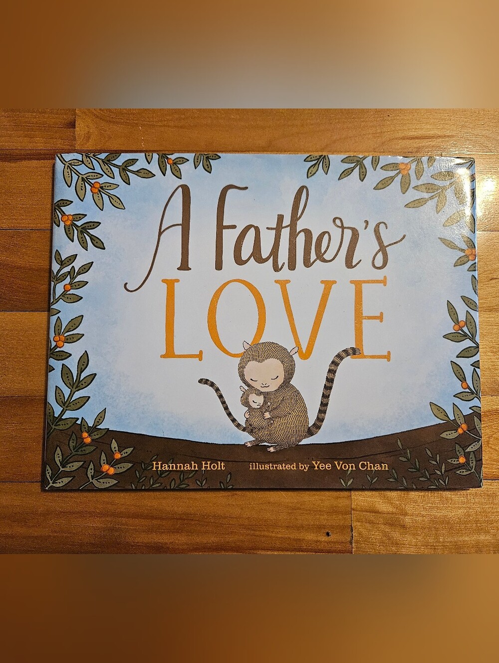 A Father's Love Hardcover Book Hannah Holt